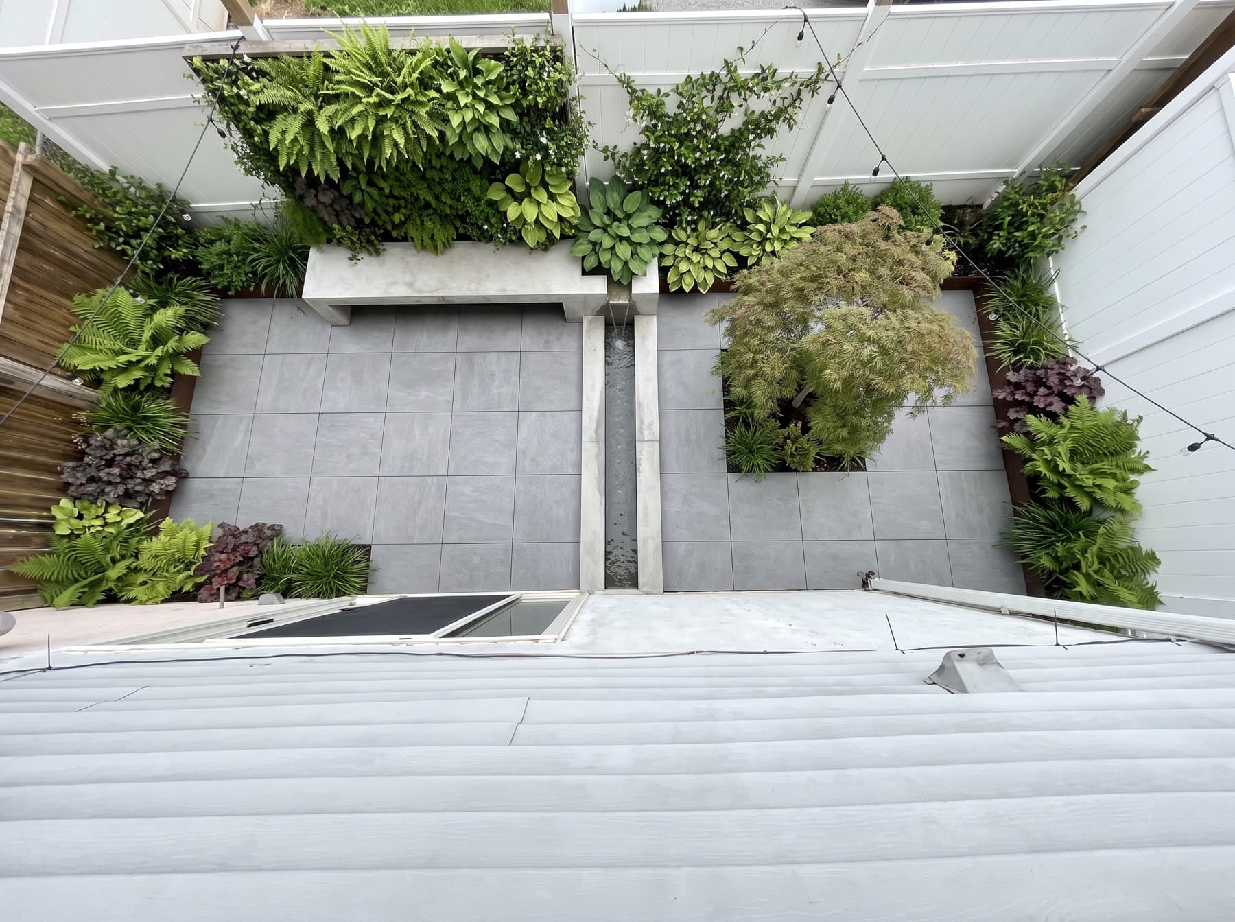 A townhouse yard seen from above: large grey porcelain pavers, a slim water rill, a concrete bench, a Japanese maple and ferns and hostas along a living wall.