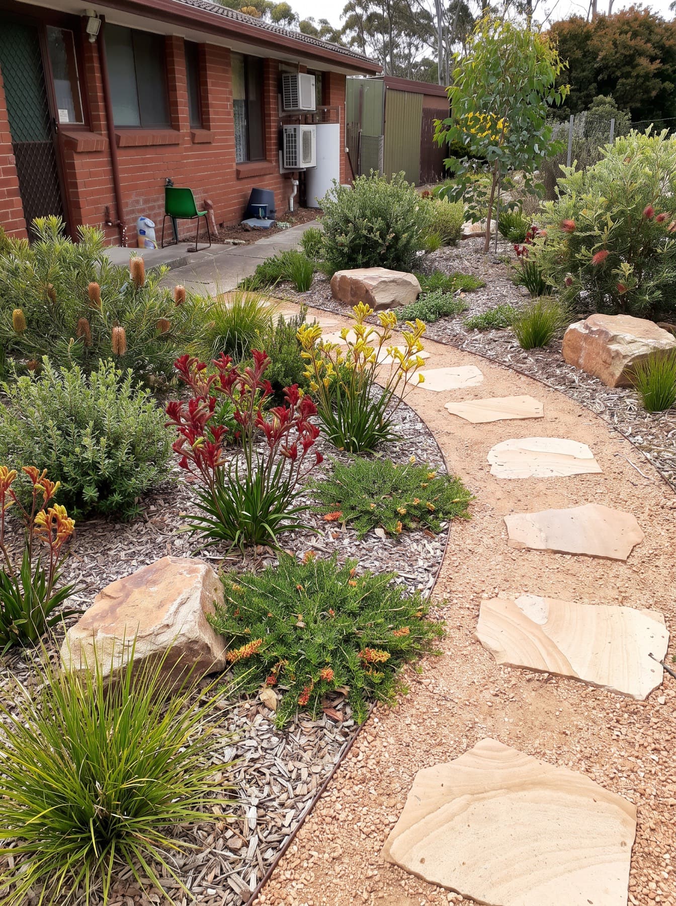 A brick house with a sandstone stepping-stone path through gravel beds of kangaroo paw, grevillea, banksia, lomandra and boulders.